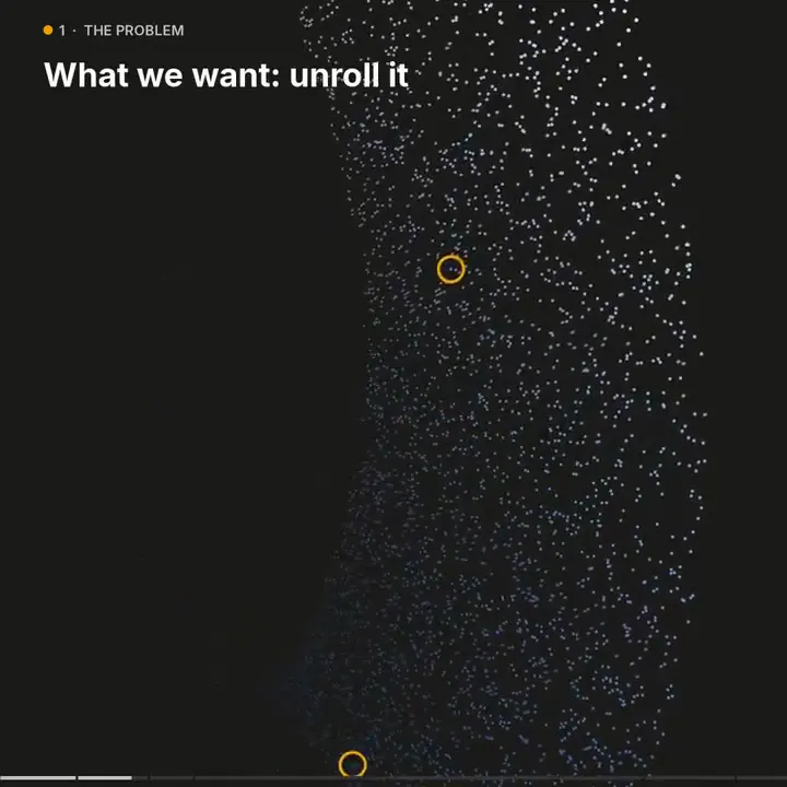 Frame from Animated UMAP explainer for undergraduates