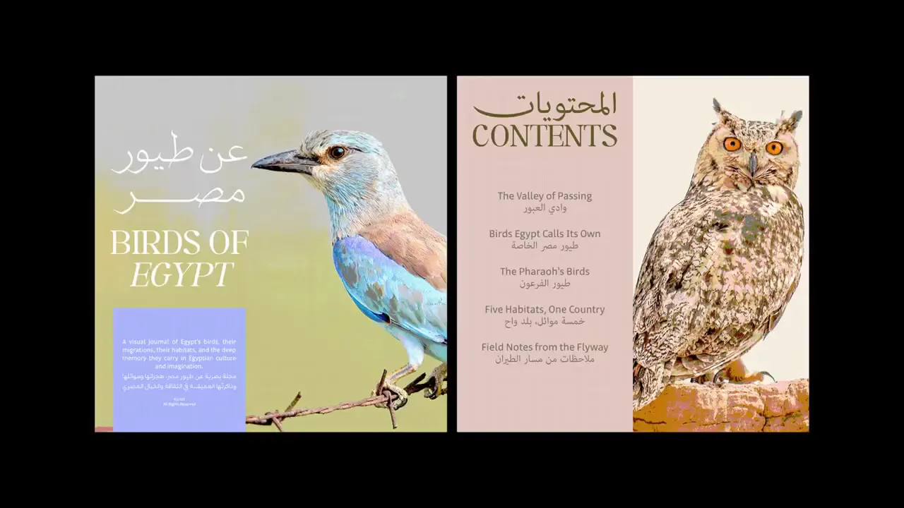 Frame from Bilingual bird journal in vivid colour