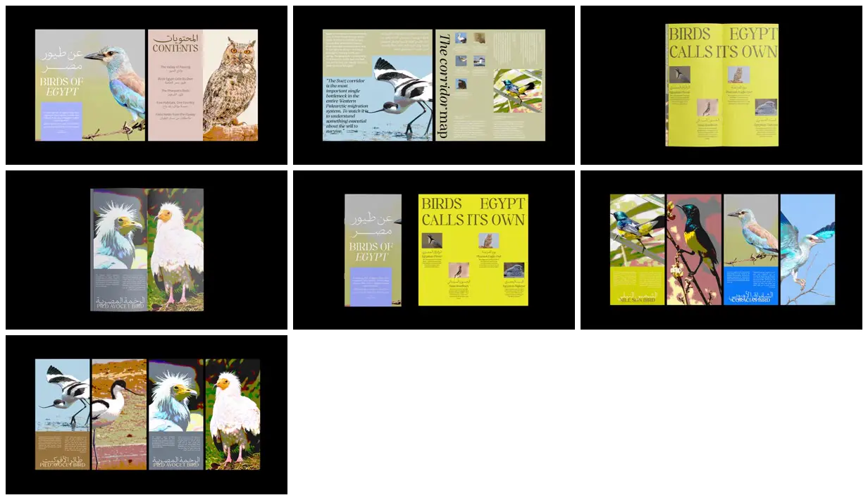 Nine frames from across Bilingual bird journal in vivid colour