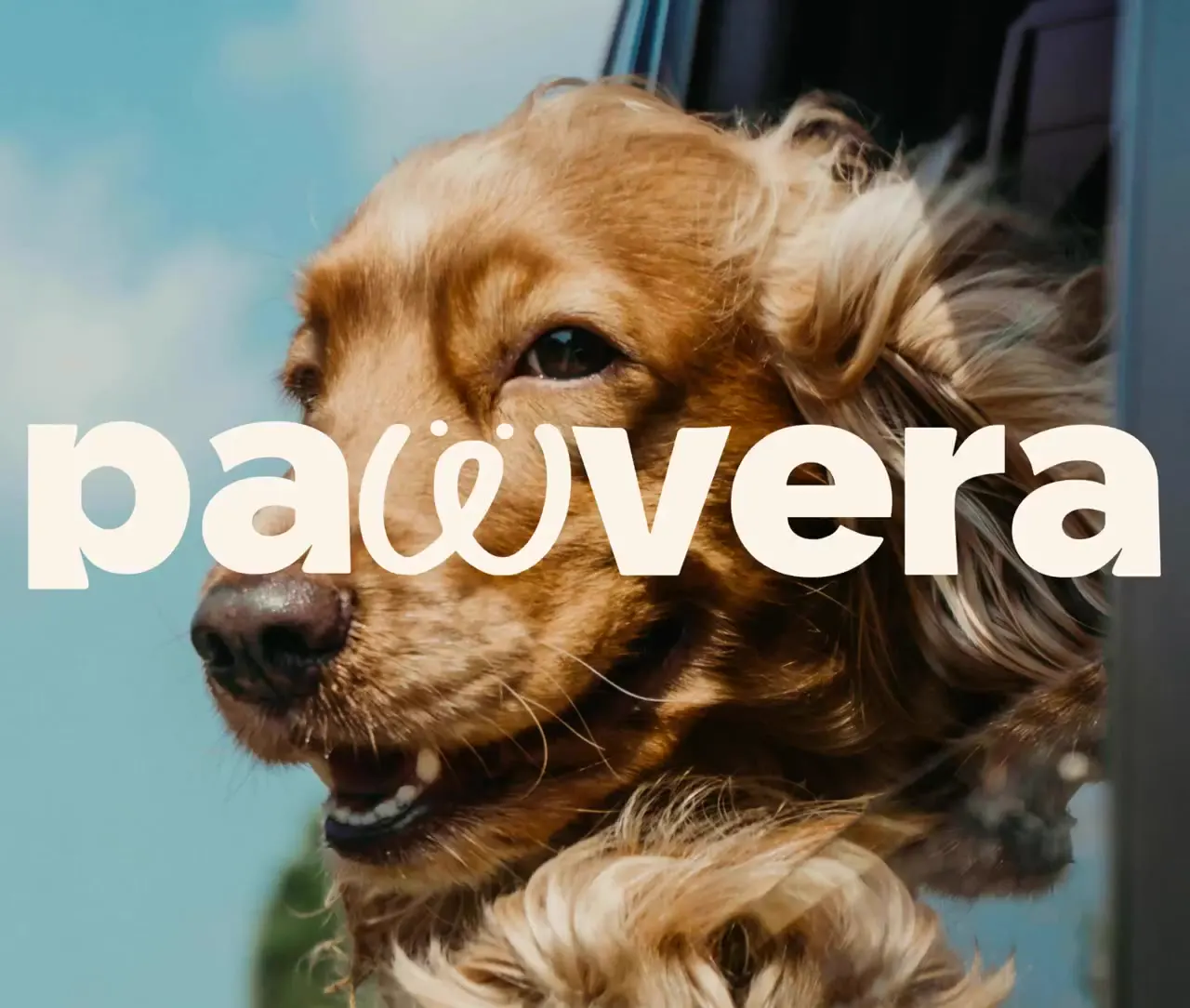 Frame from Forest-green pet insurance pitch deck