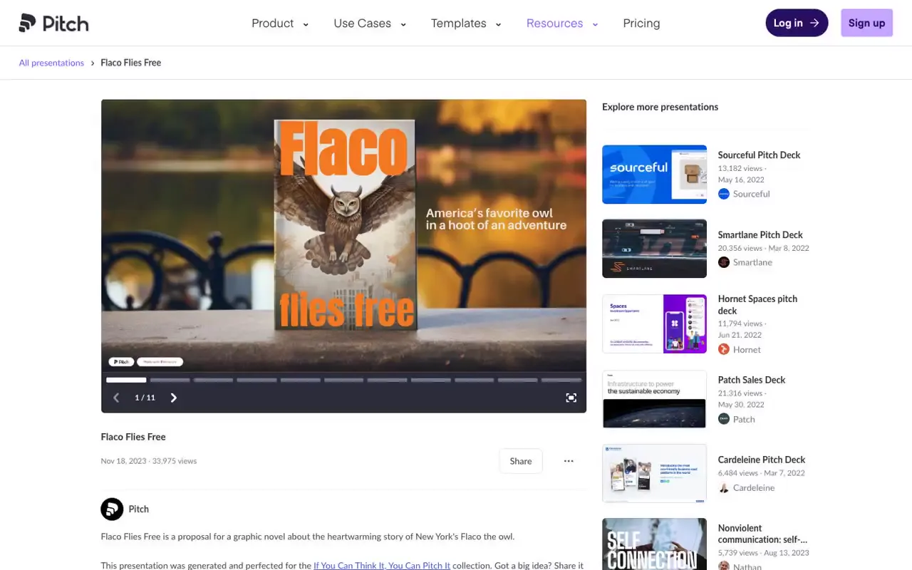 Frame from Flaco flies free book proposal