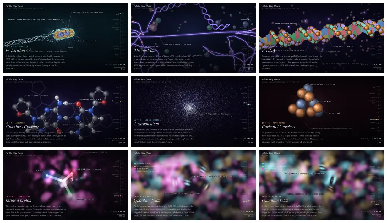 Nine frames from across From a bacterium down to quantum fields