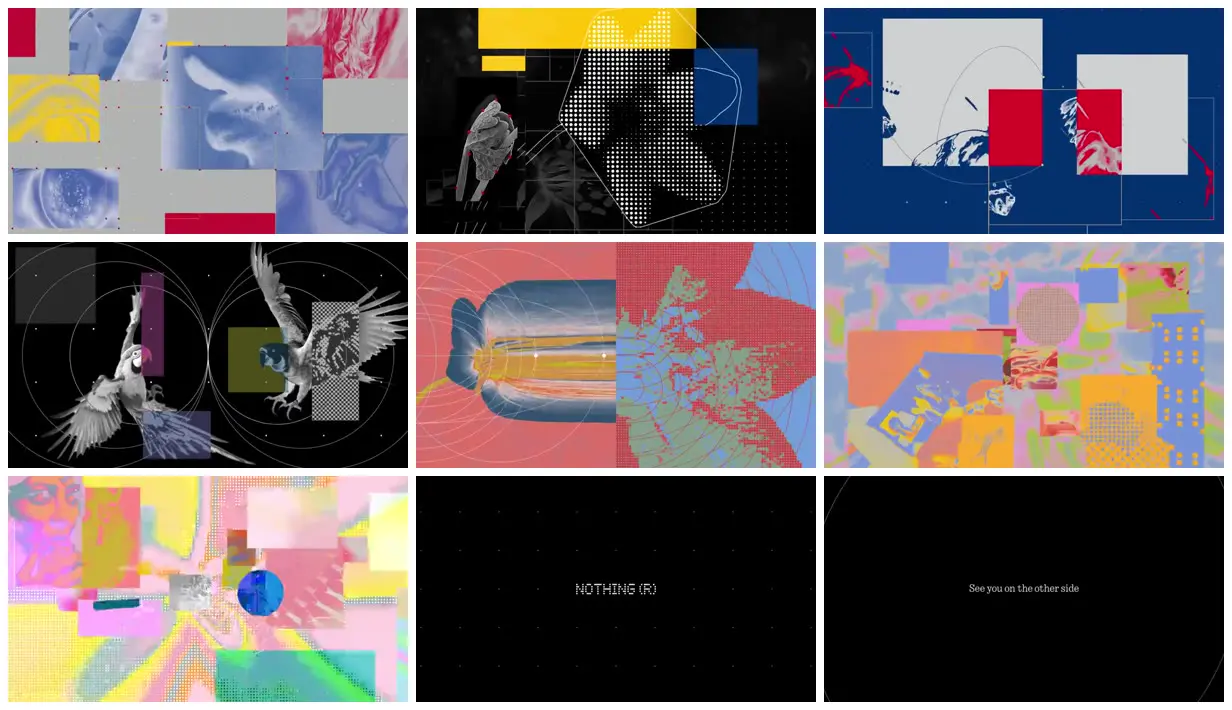 Nine frames from across Nature through a digital collage