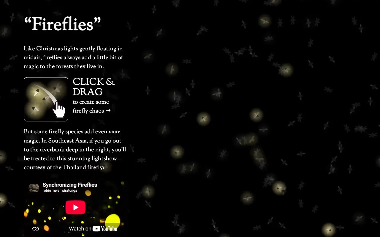 Frame from Fireflies in a luminous field