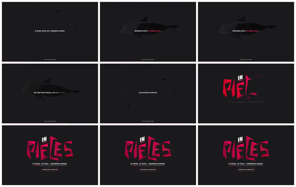 Nine frames from across In pieces exhibition entrance
