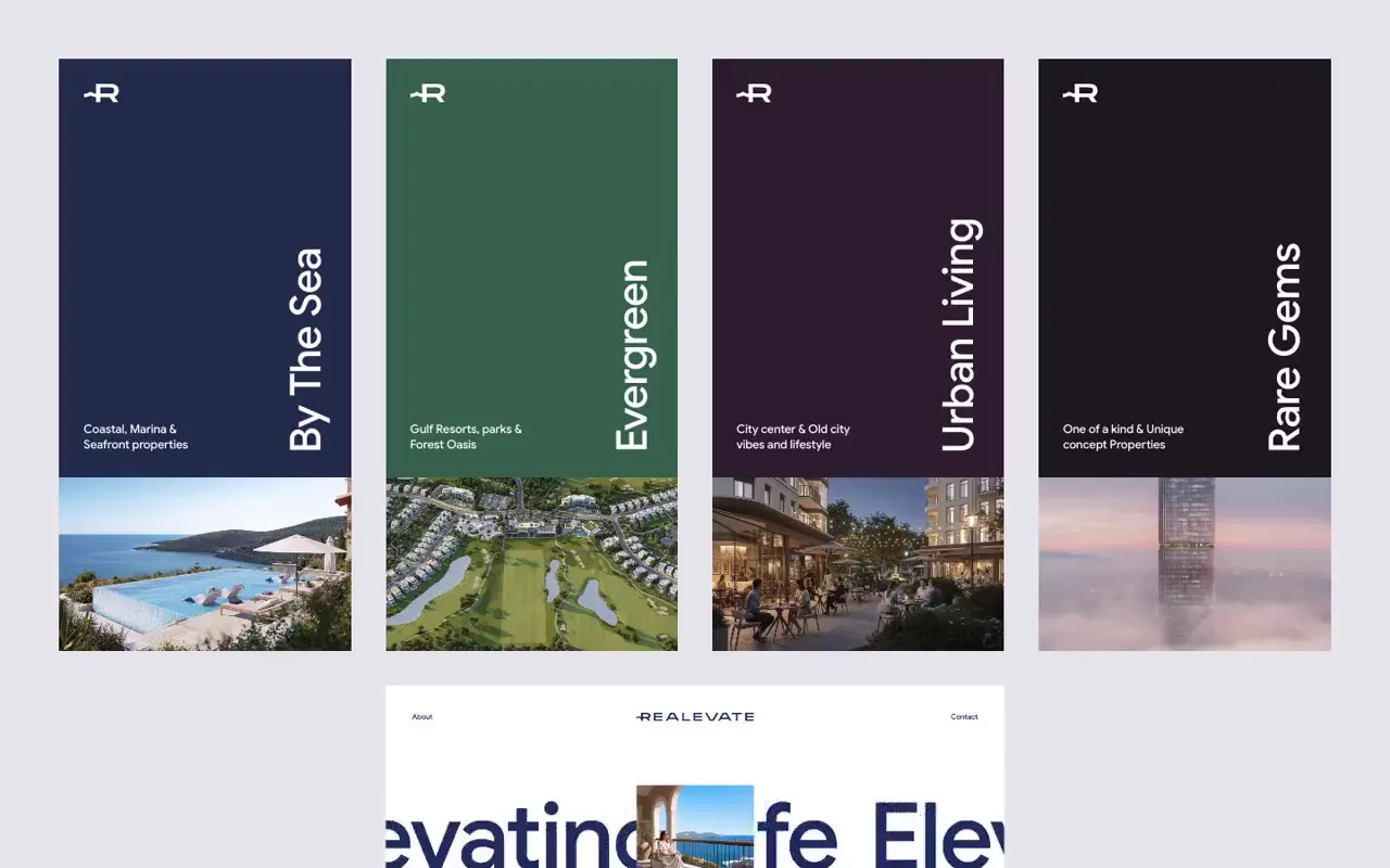 Frame from Realevate property selection