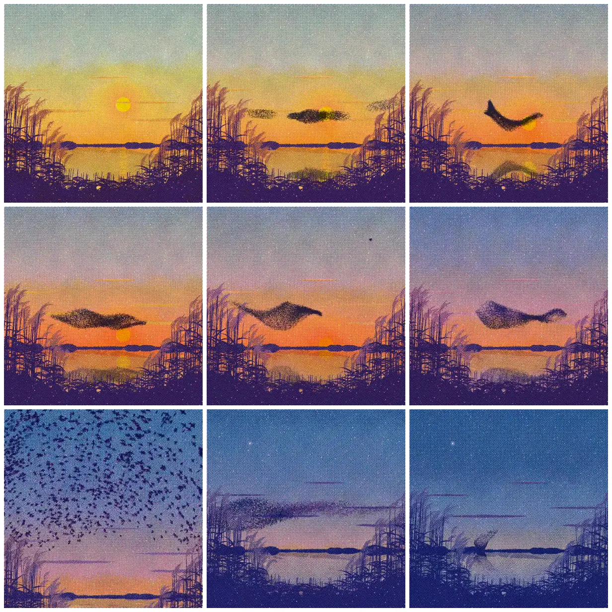 Nine frames from across Risograph film of a starling murmuration