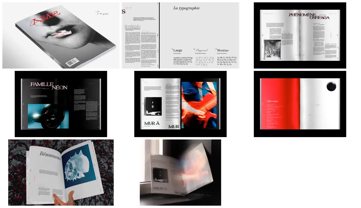 Nine frames from across Silver and red experimental magazine