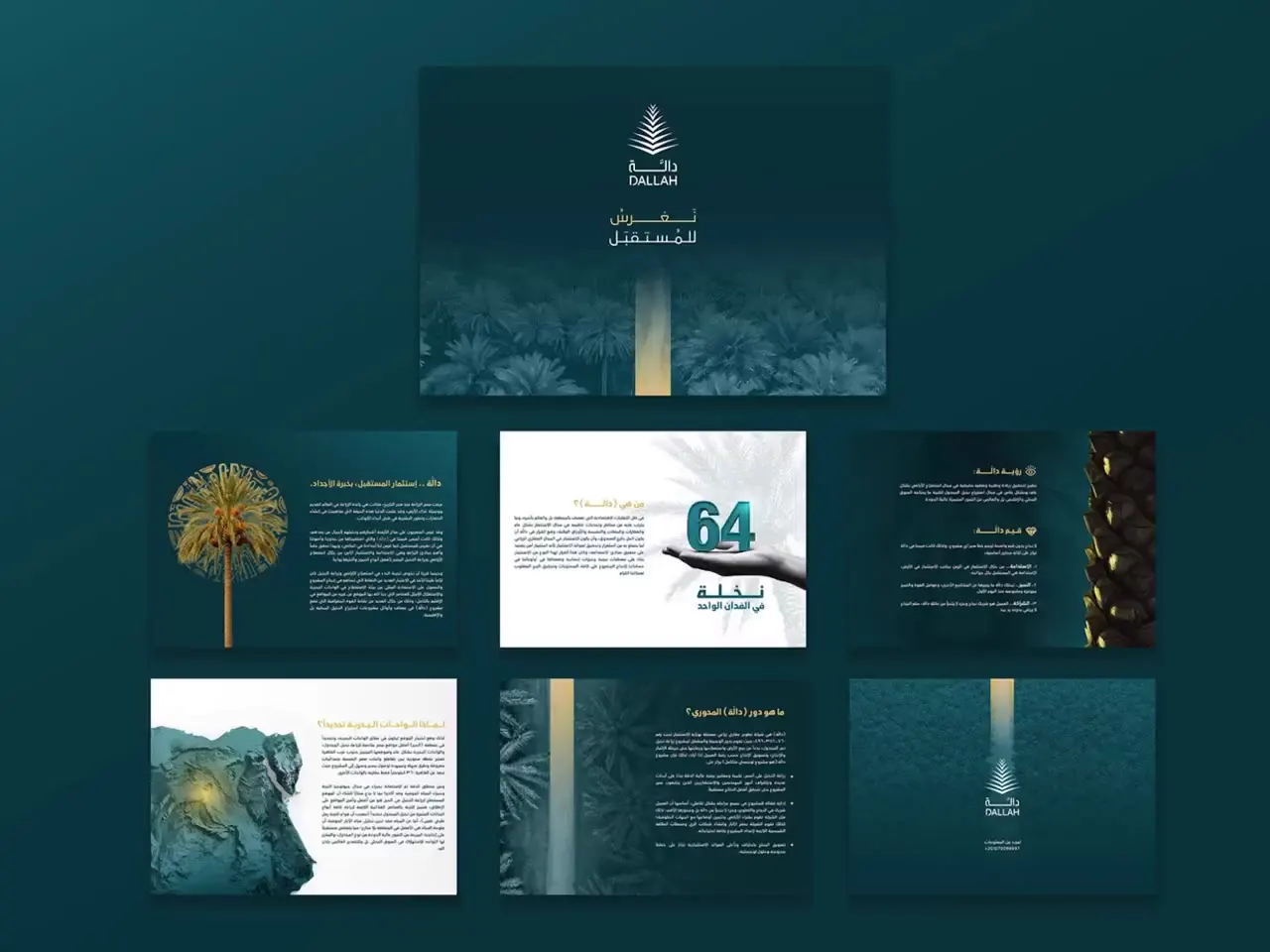 Frame from Teal and gold palm farm profile