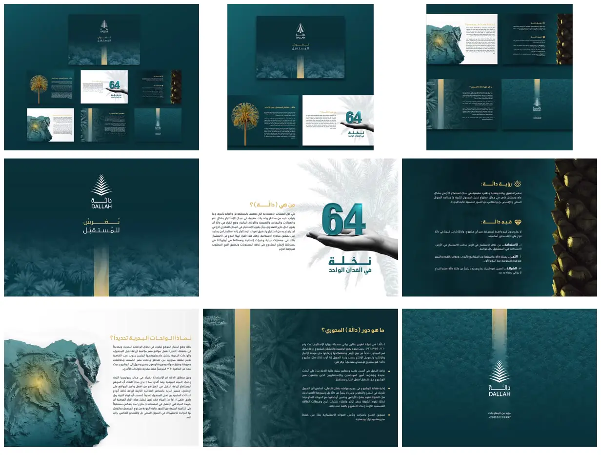 Nine frames from across Teal and gold palm farm profile