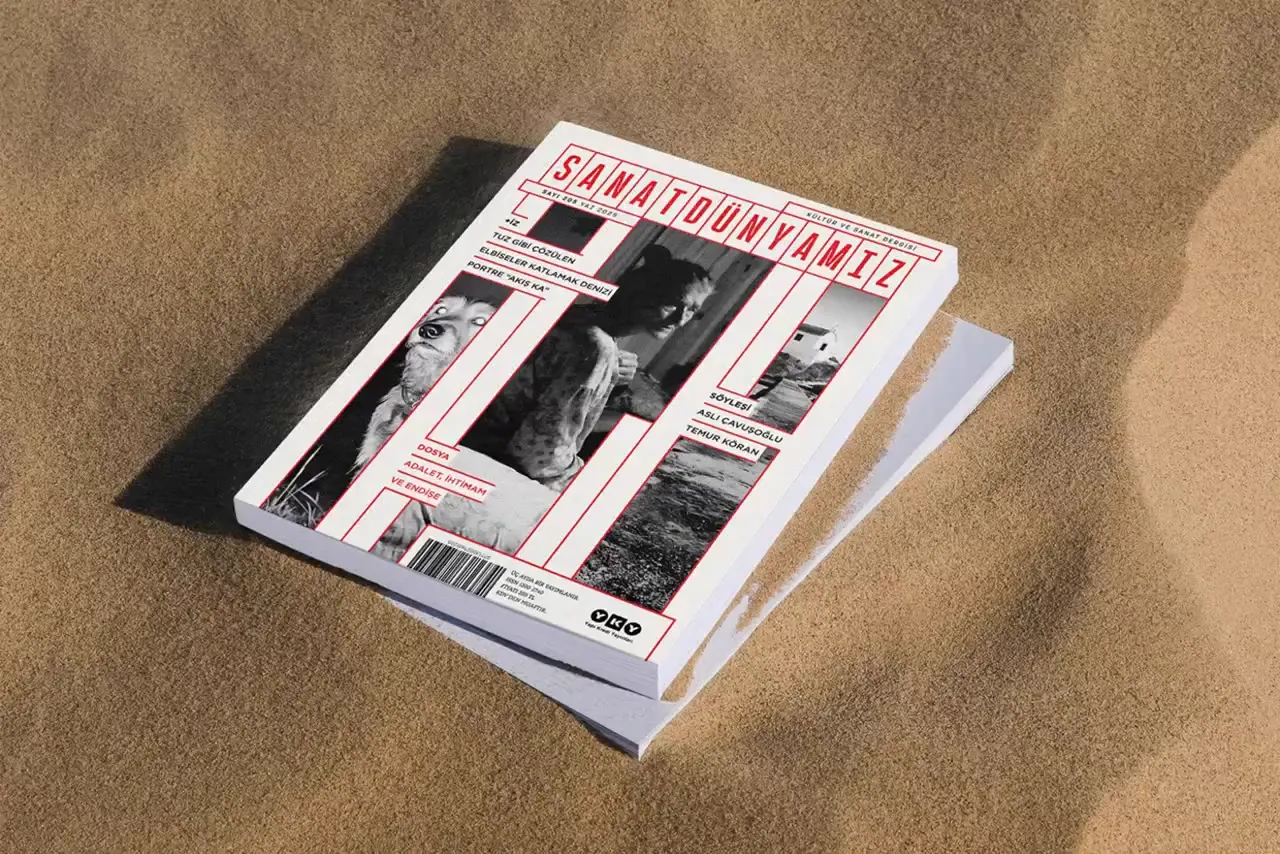 Frame from Art magazine with stepped cover grids