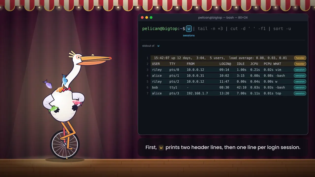 Frame from Pelican explains a Unix shell pipeline