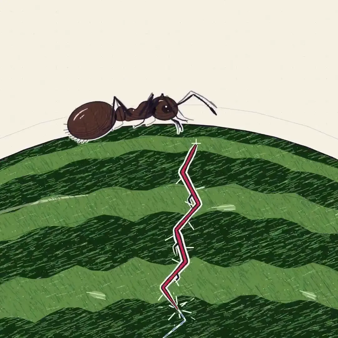 Frame from Ants and a growing watermelon