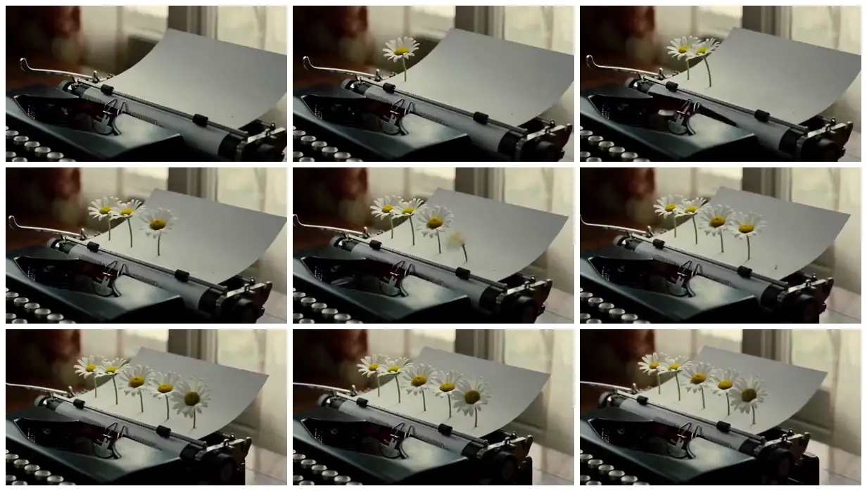 Nine frames from across Daisies on a typewriter