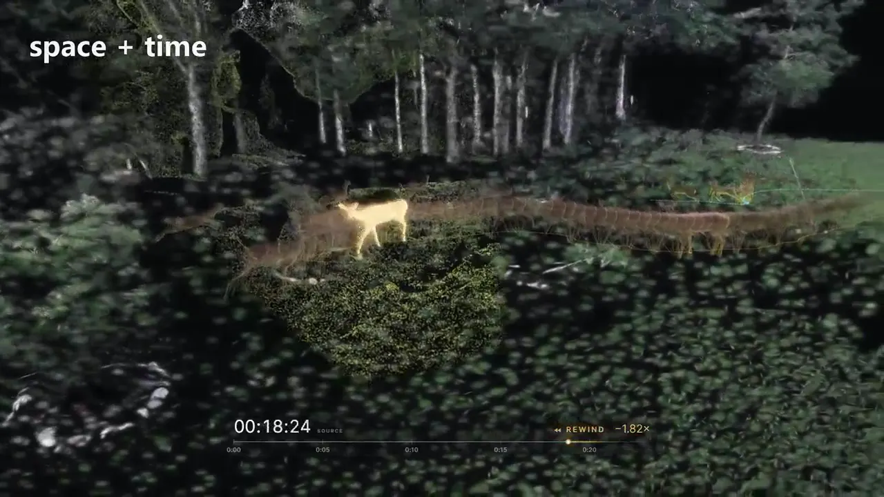 Frame from Deer timelines in a woodland