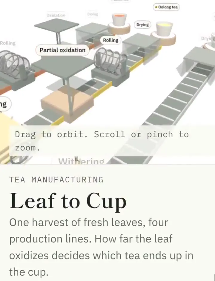 Frame from Four tea production lines