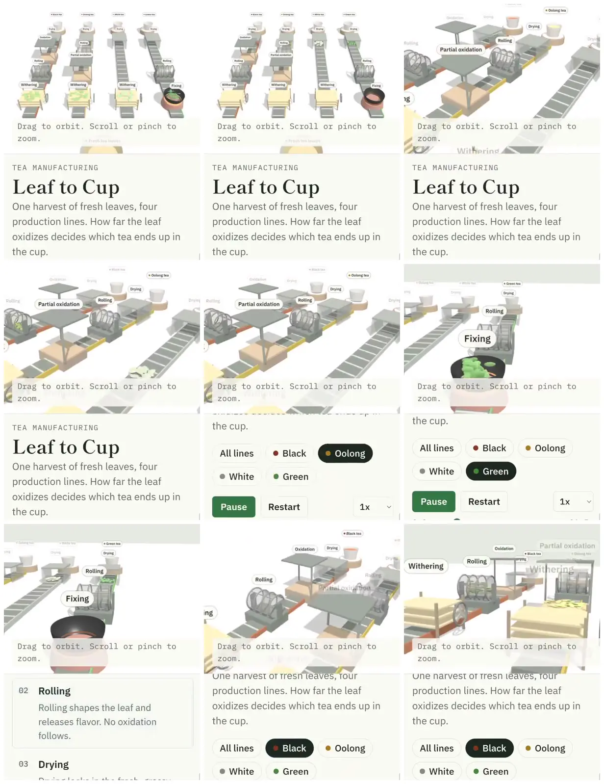 Nine frames from across Four tea production lines