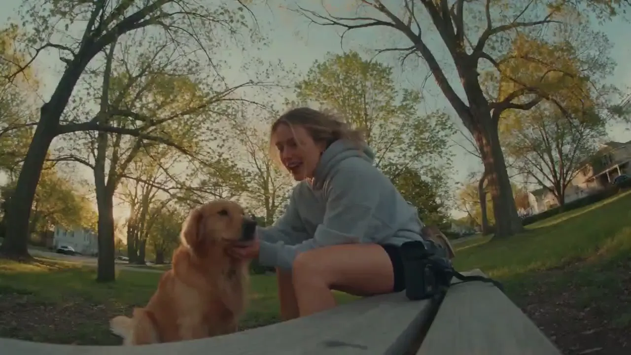 Frame from Golden retriever walk in warm sunlight