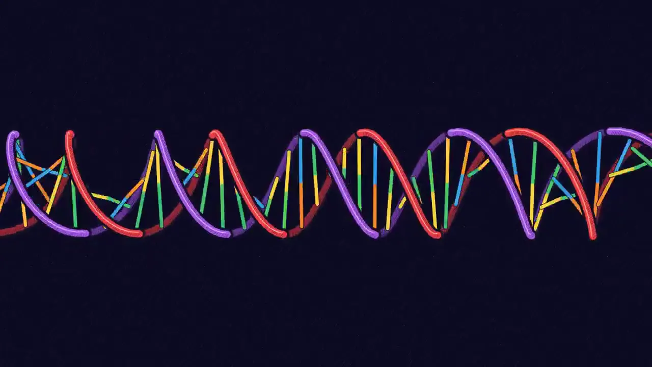 Frame from Neurons, DNA and cosmic diagrams