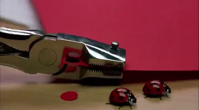 Frame from Paper punch circles become ladybugs