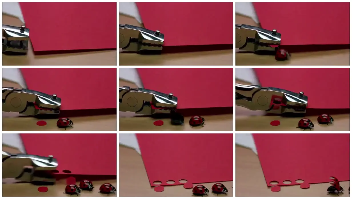 Nine frames from across Paper punch circles become ladybugs